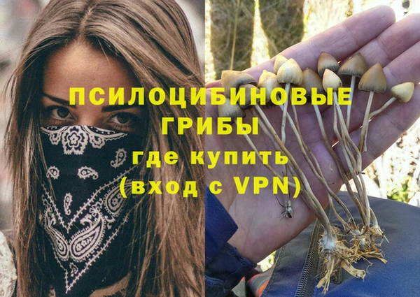 соль ск Богородицк