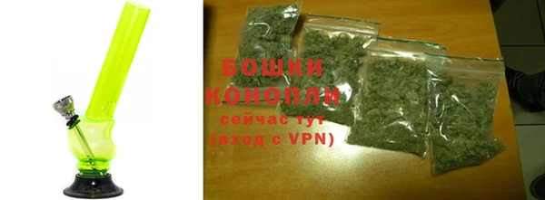 бошки Богданович