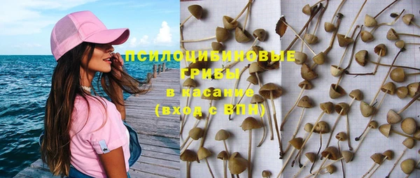 соль ск Богородицк