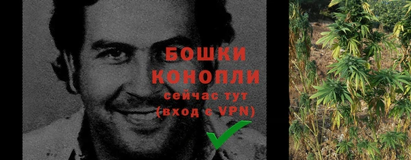 соль ск Богородицк