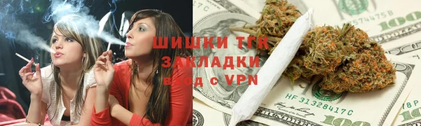 соль ск Богородицк