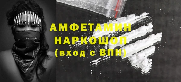 соль ск Богородицк