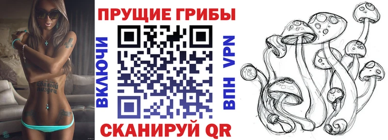 Псилоцибиновые грибы Cubensis  Дудинка 